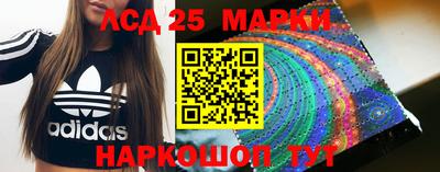 шишки Лесосибирск