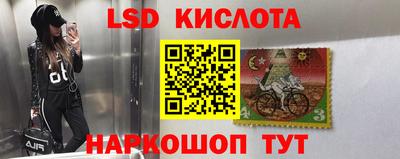 шишки Лесосибирск
